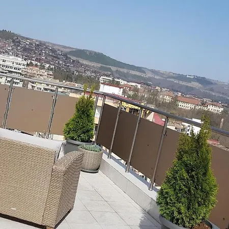 The View