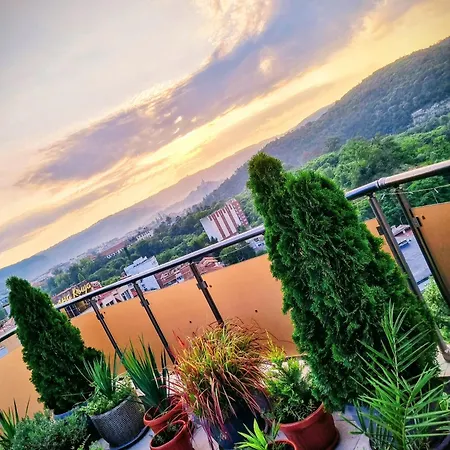 The View *